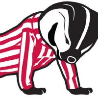 badgerassassin
