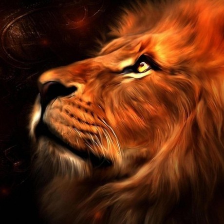 discusser-avatar