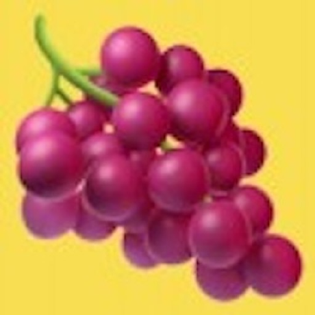 LiteLLM logo or screenshot