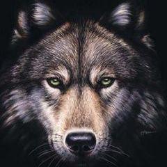 bigdogaaa avatar