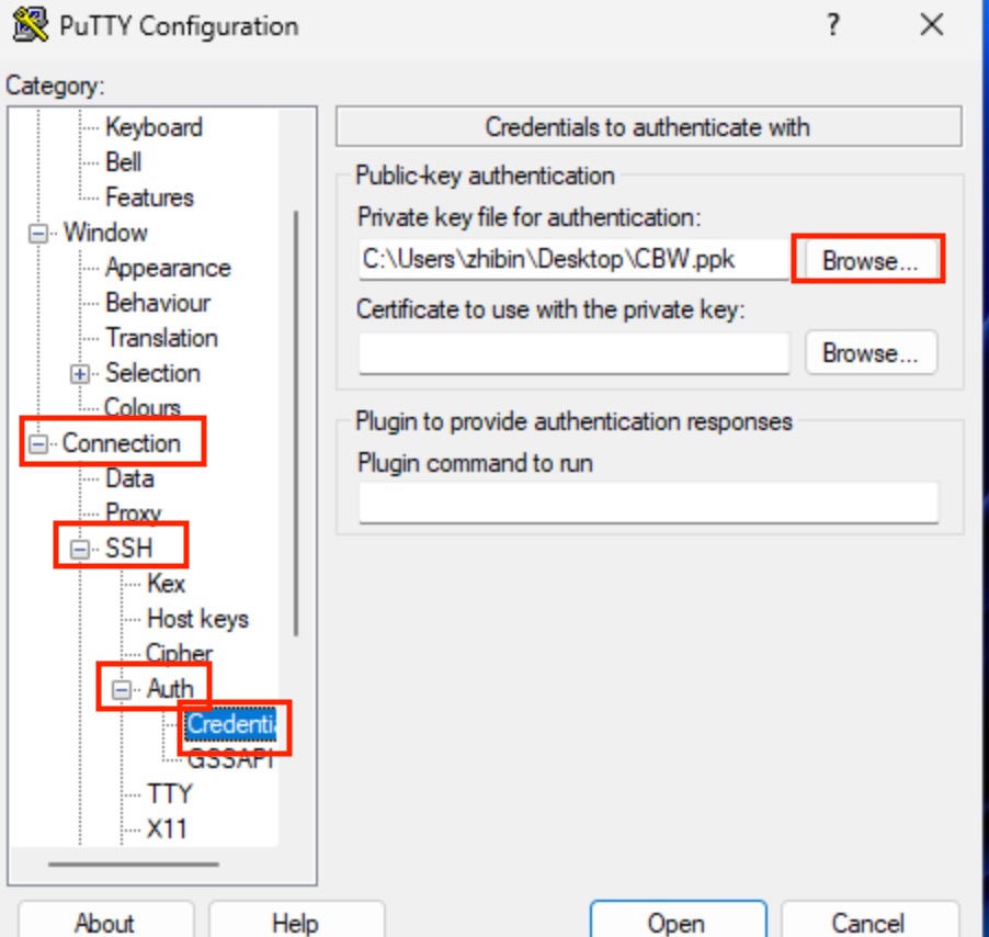 Putty Auth Options