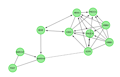 reactomeFI_viz_network.png