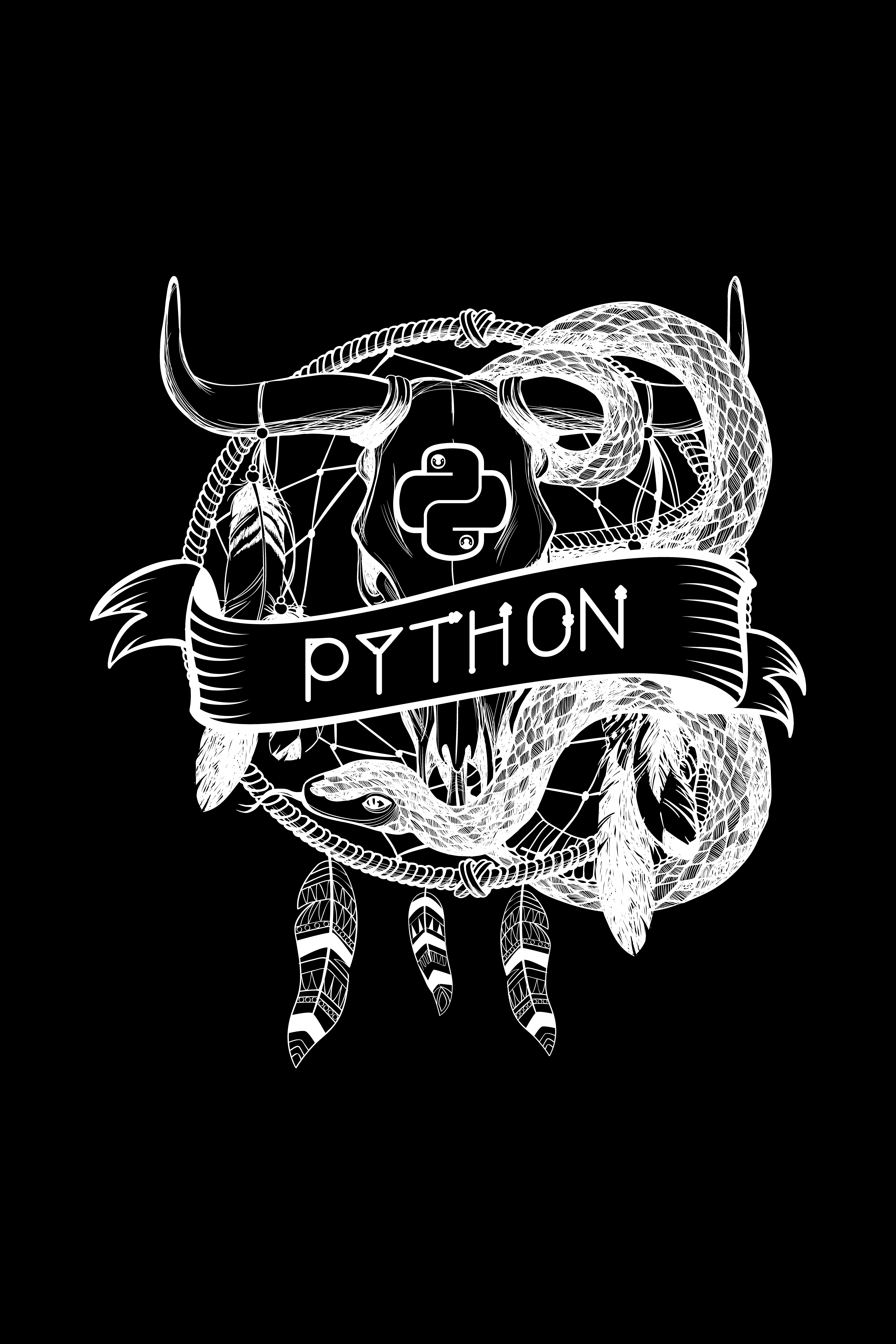 python.png