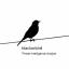 blackorbird