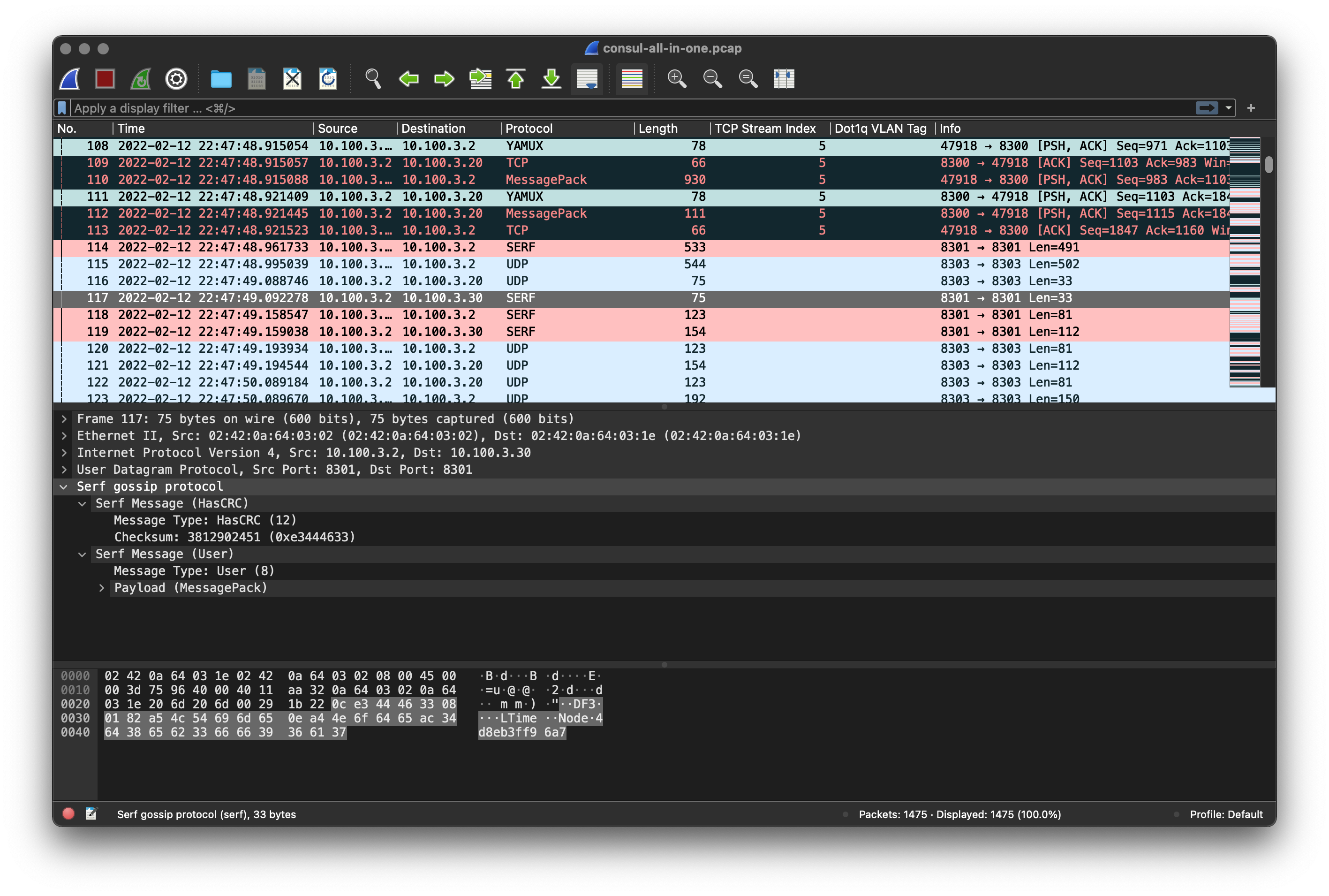 Consul-Wireshark.png