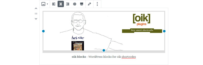 oik-blocks-banner-772x250.jpg