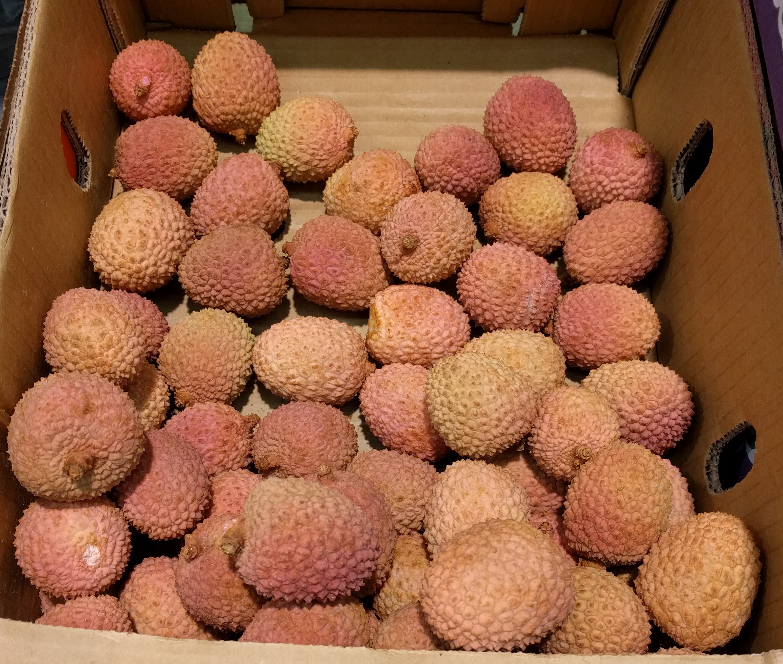 lychee.jpg