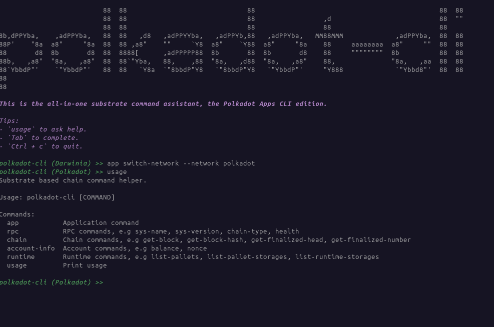 polkadot-cli.png