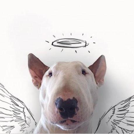 Gemini Image Generation GitHub avatar