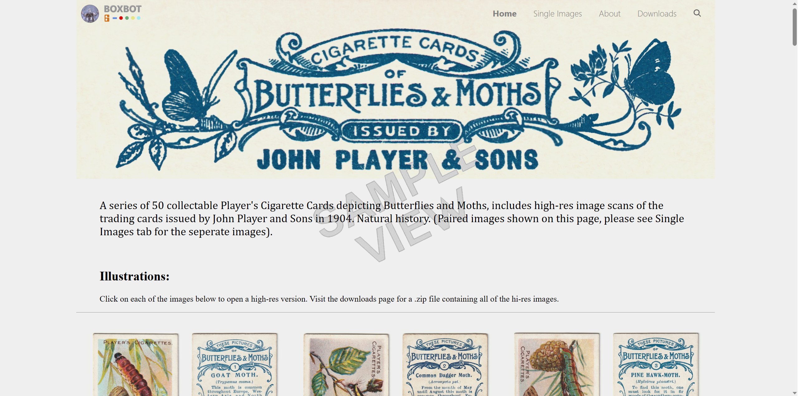 cigarette-cards-john-player-and-sons-butterflies-and-moths-sample.png