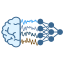 braindecode