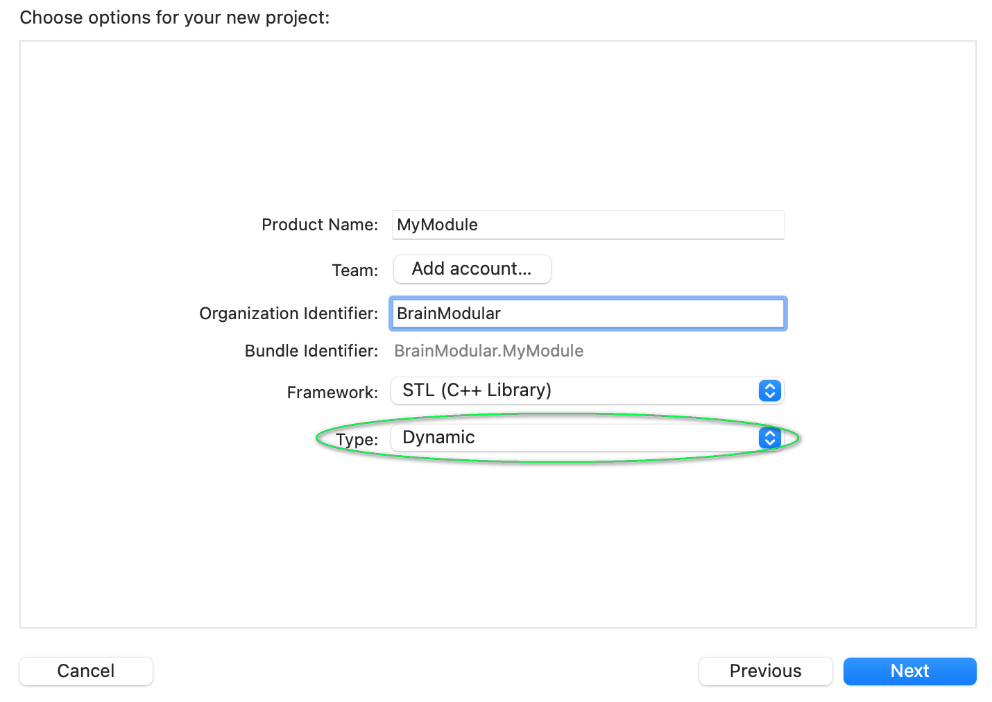 Project options