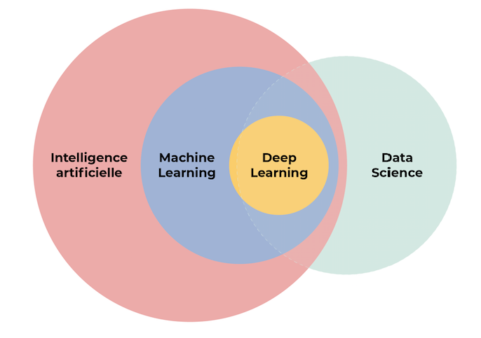 Differences between these disciplines