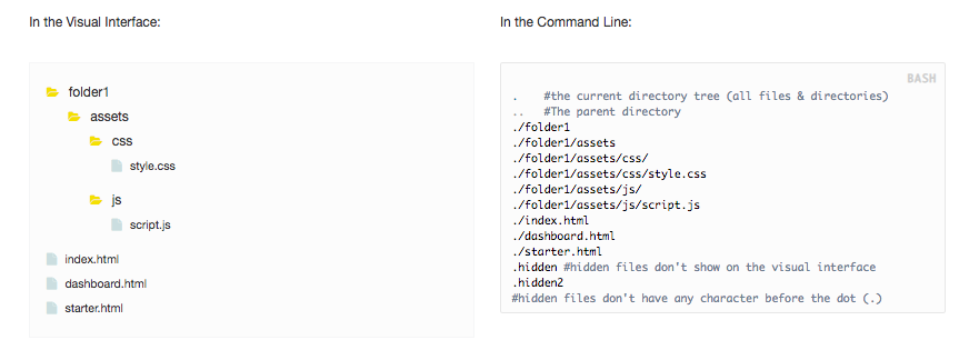 the command line the terminal