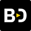 brooklyn-data