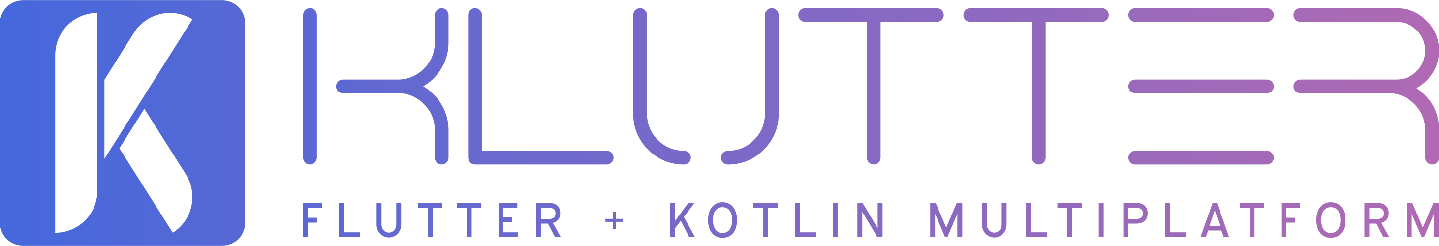 buijs software logo