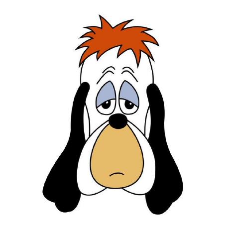 bwhite55 profile avatar