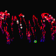 bxlab