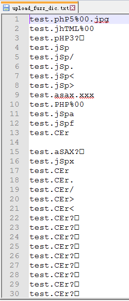 upload_fuzz_dic.png