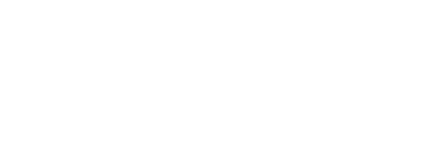 spinnaker-horizontal-white.png