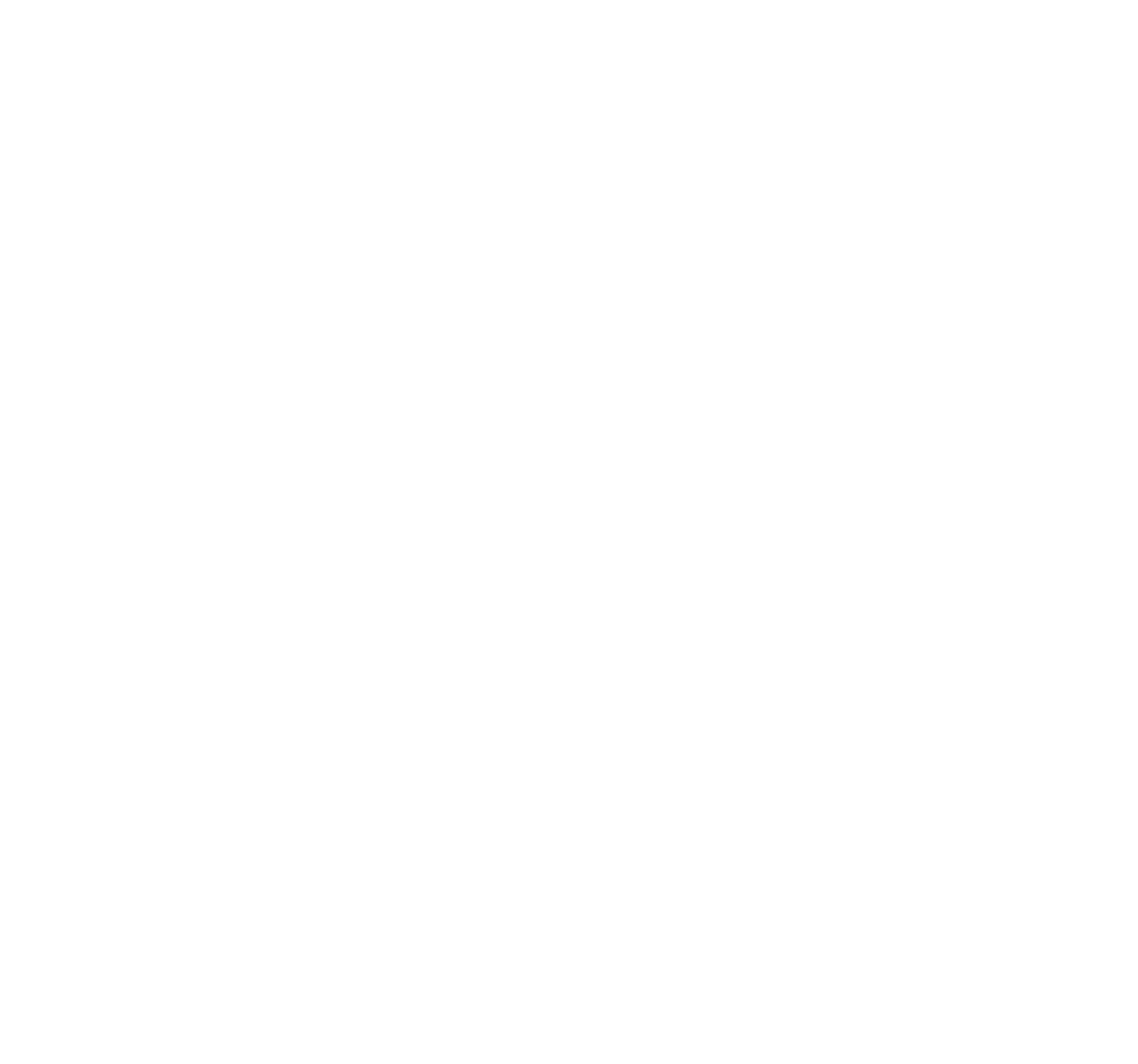 spinnaker-icon-white.png