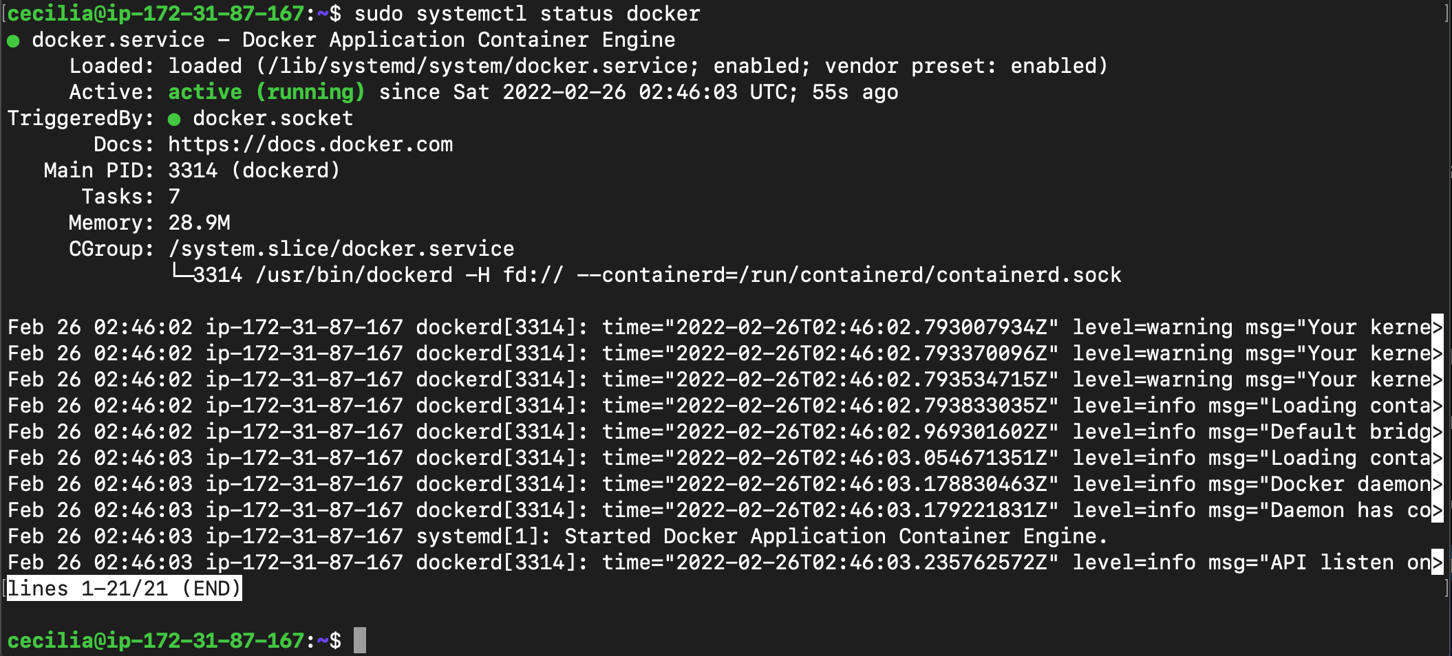 dockerstatus.png