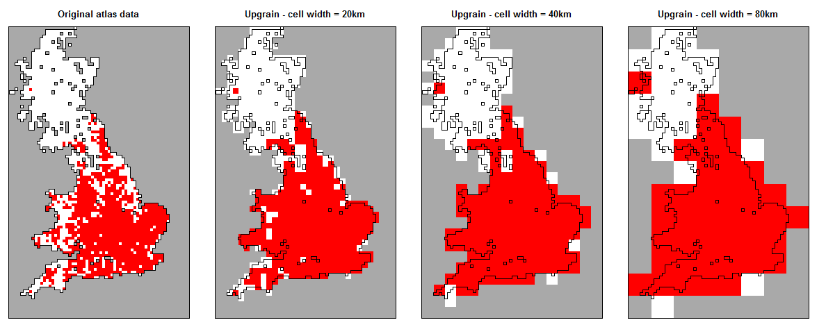 Upgrained presence (red cells) and absence (white cells) maps for a UK species without standardising extent to the largest grain size. Unsampled cells are dark grey. As we upgrain the atlas data to larger grain sizes the total extent also increases.