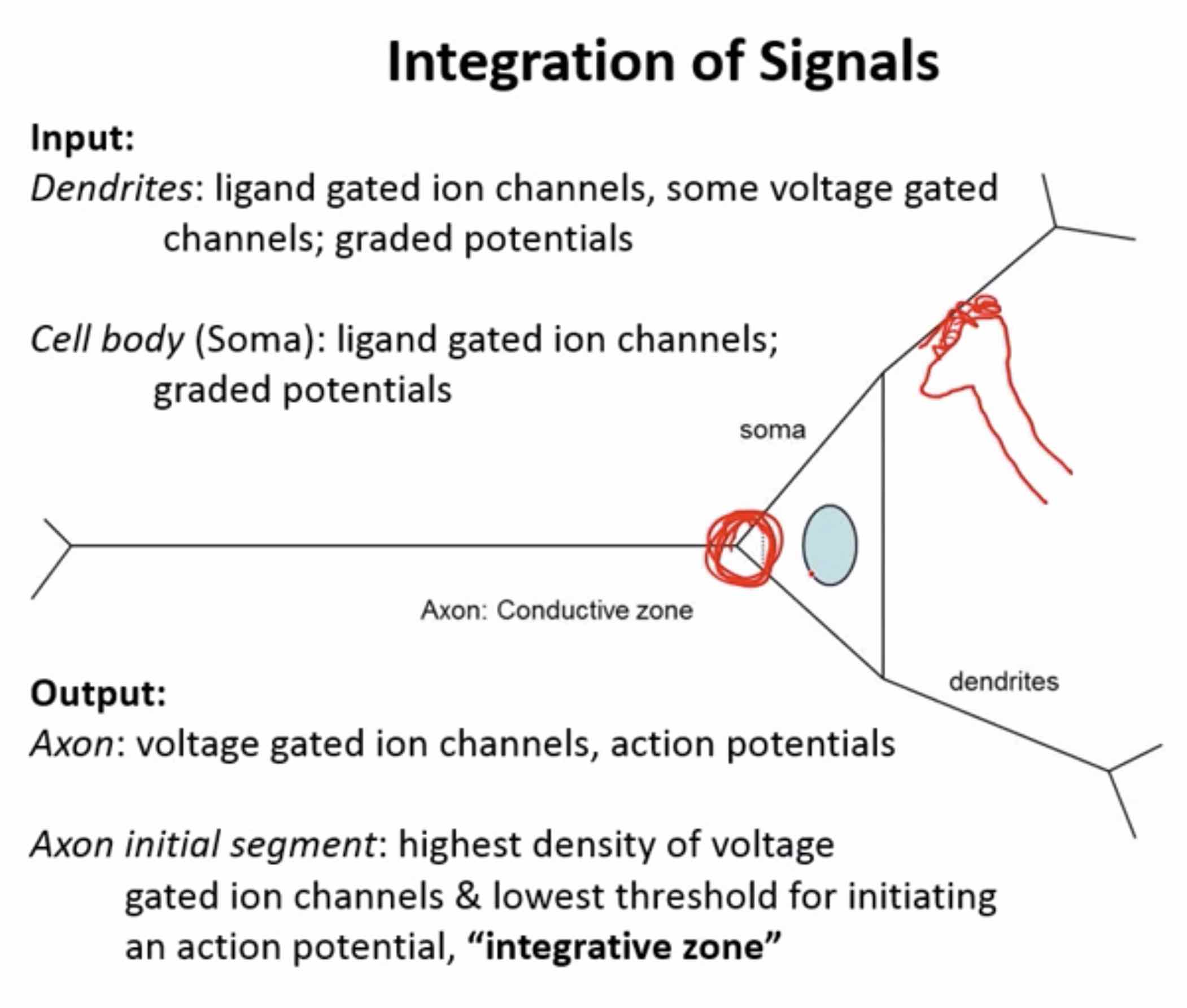 integration-of-signal.jpg