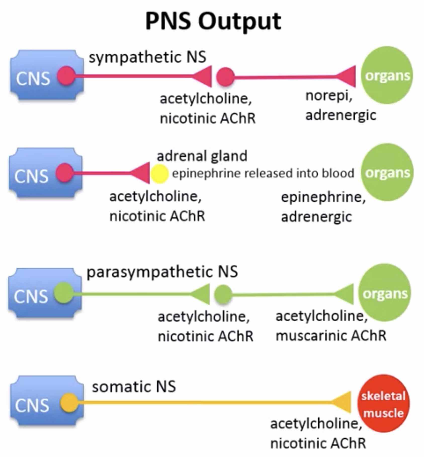 transmitters-depending-on-type-of-ns.jpg