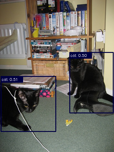 detection_cat.png