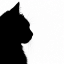 cheluen avatar