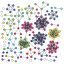 chemplexity