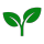 choysum-dev