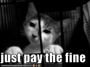 funny-pictures-cat-asks-you-to-pay-fine.jpg