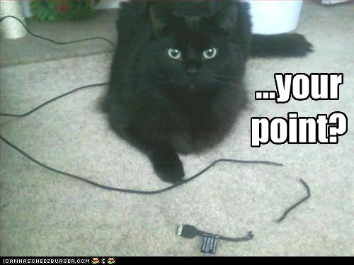 funny-pictures-cat-does-not-see-your-point.jpg