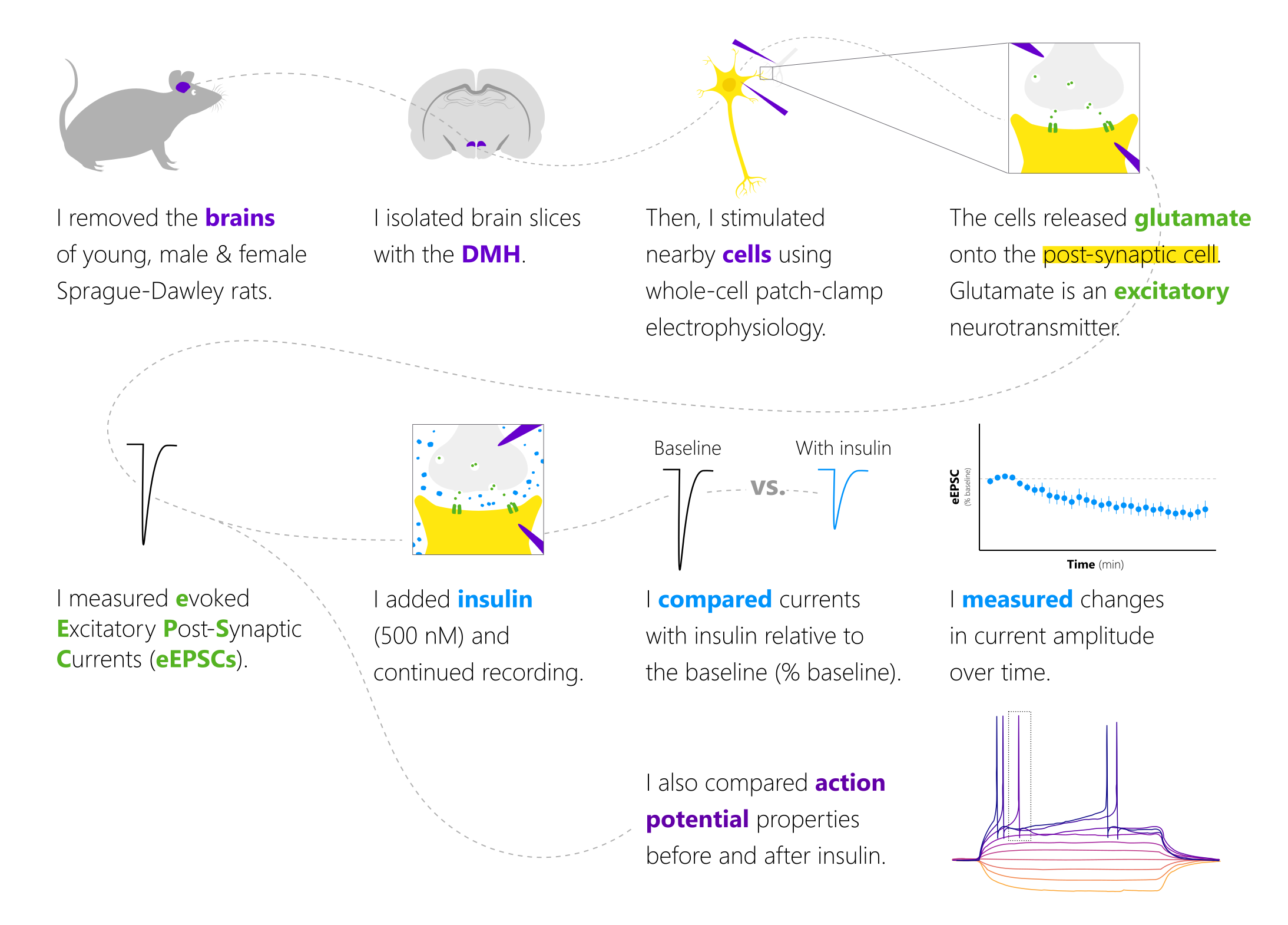 Methods-Schematic-with-APs.png