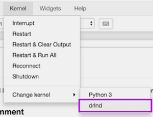 ipynb_kernel.png