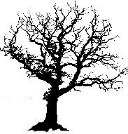 originalTreeImageMirrored183x191NearestNeighbor.png