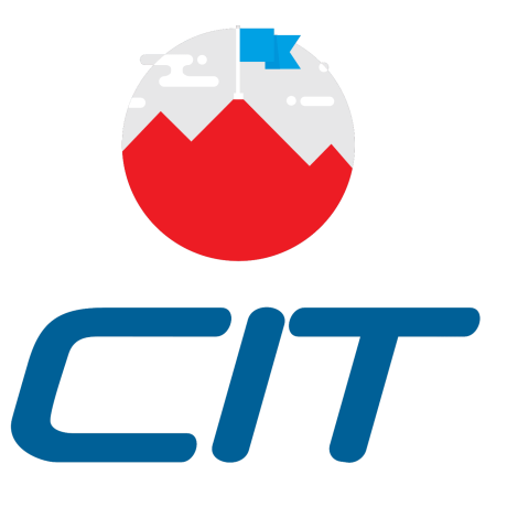 citindia