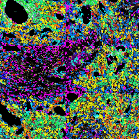 claassenlab