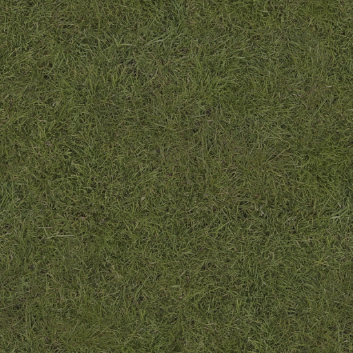 grass_overcast.png