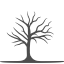 cloud-oak