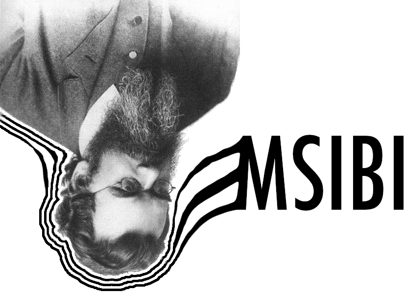 msibi.png