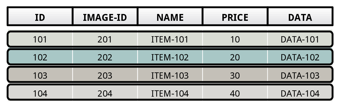 (NSM Diagram)