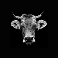 cod3cow