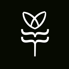 Flutter Maestro GitHub avatar