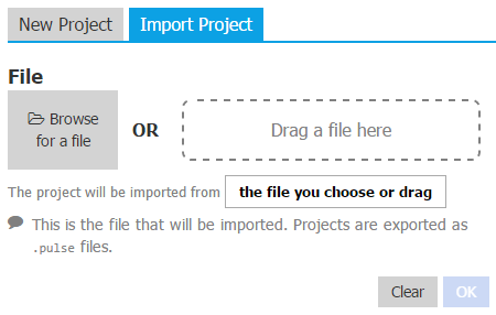 Blank Import Project Form