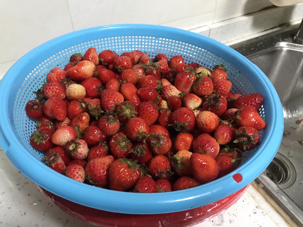 洗好的草莓.jpeg
