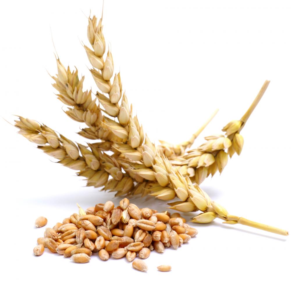 wheat-ears-and-wheat-kernels.jpg