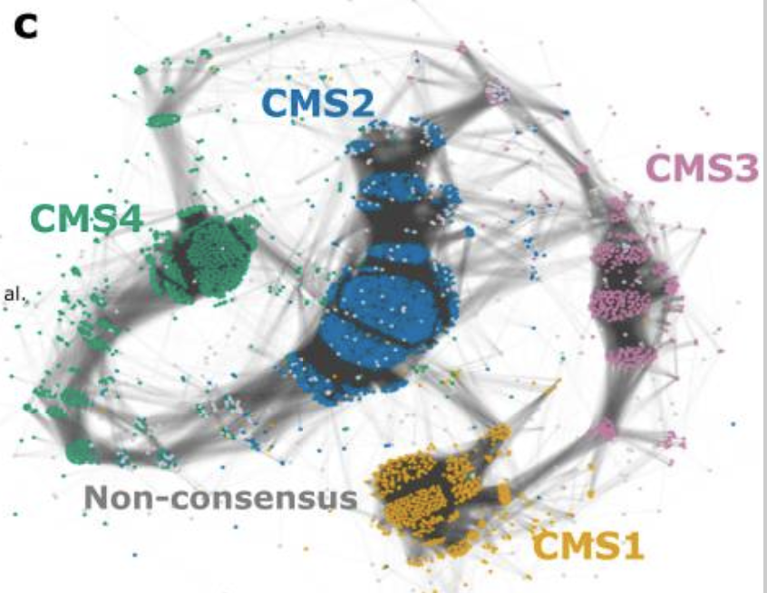 Guinney_CRC_subtyping_Fig2c.png